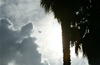 Dave dreams of a jet high above the palm trees of Los Angeles taking him somewhere else. The jet itsself was once the manifestion of dreams. It was thought that humans were not meant to fly.