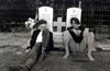My friends David, left, and Drayton sometime around 1988. I had a new camera I was testing by doing landscapes in the cemetery but this unexpected moment of my friends ended up being my best photo.