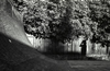 I built this skateboard half pipe in my backyard during the summer between 7th grade and my 8th. I used to draw the plans for the ramp in my math class. I was always bored in that class and the teacher would take away the plans and never give them back. So, I'd always draw new plans the next day and she'd take them away again. Eventually I had a perfect plan. 1988.
