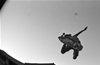 A friend of mine launches into the air above the trap of our suburban working class housing tract. The so called city leaders, voted to make skateboarding illegal in part of the city. So we'd put out this launch ramp into the street which was completely illegal but the cops never said much. I think some of their kids were skateboarders too. 1988